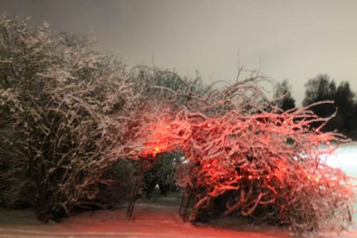 Matti Luostarinen. Cluster art. Happy New Year 2019