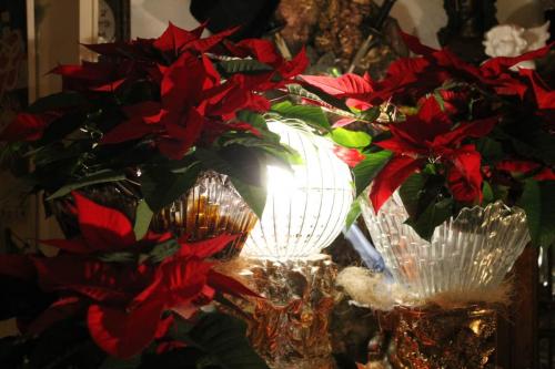IMG_0472