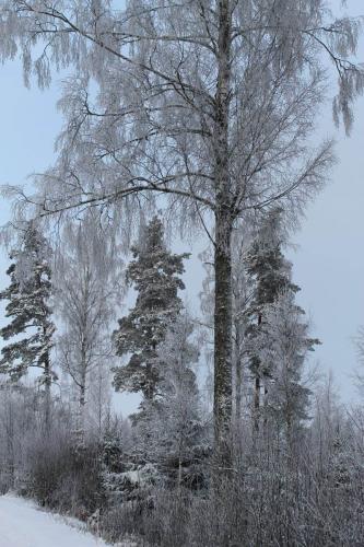 IMG_0919
