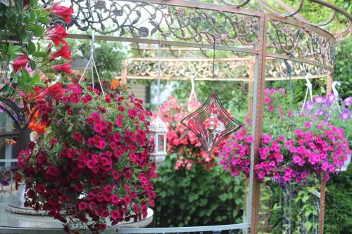 Matti Luostarinen, Cluster art. Art of Clusters. Cluster garden.