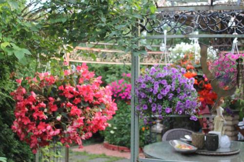 Matti Luostarinen. Cluster art, Art of clusters. Cluster garden.