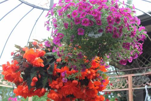 Matti Luostarinen. Cluster art. Art of Clusters, Cluster garden.