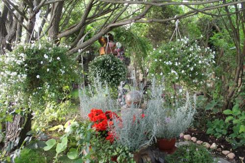 Matti Luostarinen. Cluster art. Art of Clusters. Cluster garden.