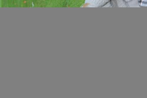 IMG_1331 (2)