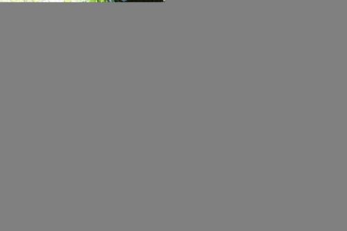 IMG_1355 (1)