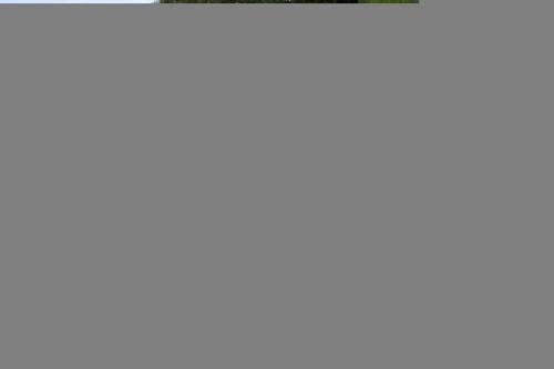 IMG_1389 (1)
