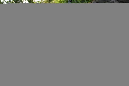 IMG_1452 (1)