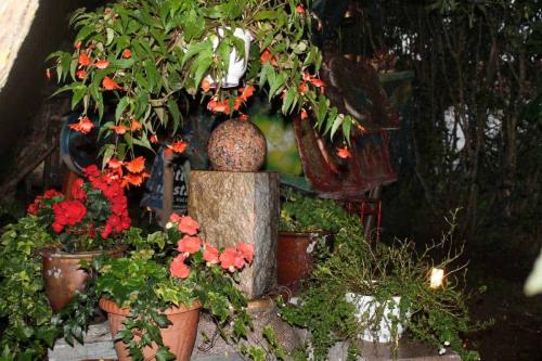 Matti Luostarinen. Cluster art, art of clusters. Cluster garden.