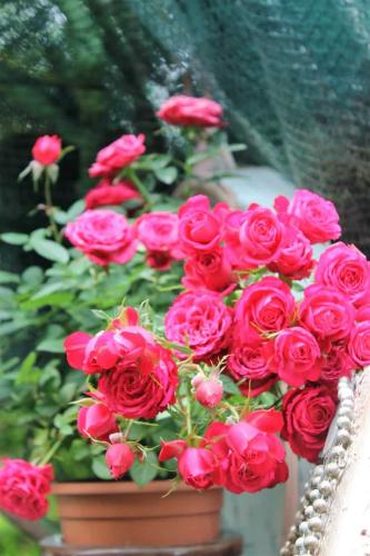 IMG_1837