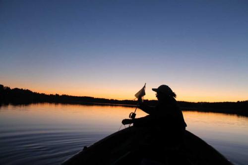 Matti Luostarinen. Cluster art. Kaukjärvi 28.8.2020.