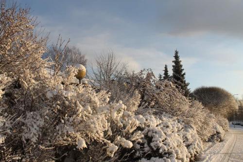 Matti Luostarinen. Cluster art.