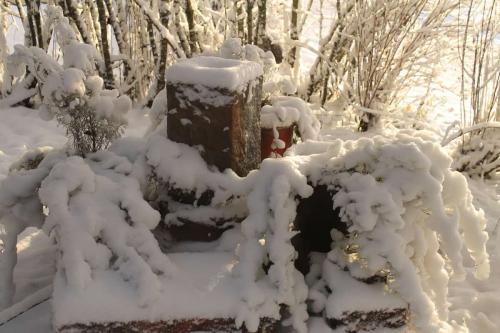 Matti Luostarinen. Cluster garden. The First snow. Ensilumi.