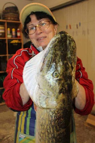 Matti Luostarinen. Cluster art. Maija ja hauki. 28.8. 2020.