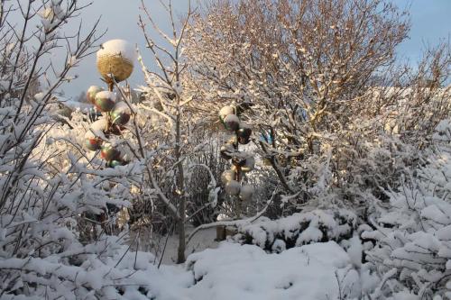 Matti Luostarinen. Cluster garden. The First snow. Ensilumi.