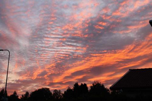 Matti Luostarinen. Cluster art. Forssa 31.8.2020.