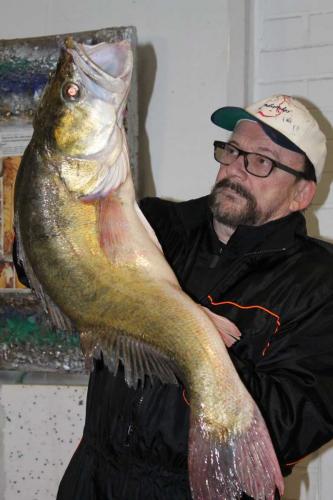 Matti Luostarinen. Cluster art. Kuha, Kaukjärvi 3.9.2020. 15,290 kg, 120cm