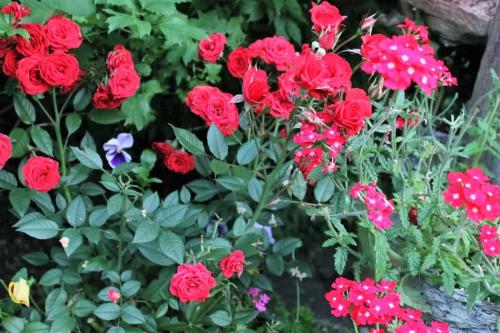 Matti Luostarinen. Cluster art garden. The day of art 10.07. 2017.  The birth day of Matti Luostarinen 10.07. 1951