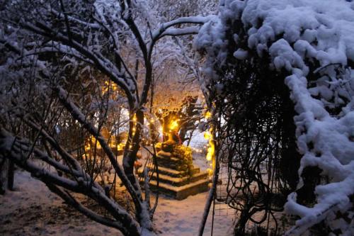 Matti Luostarinen. Cluster art. The garden of Cluster art.