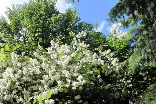 Matti Luostarinen. Cluster art. Cluster art garden. Finland's big year 2017 - Suomi 100.