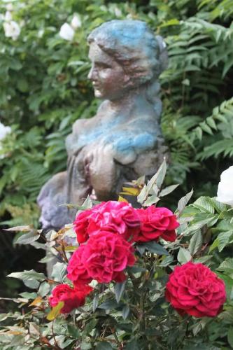 IMG_3053 (2)