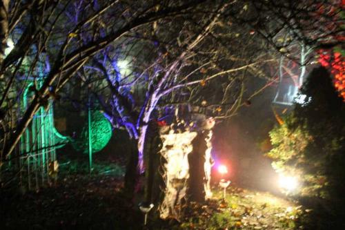 Matti Luostarinen. Cluster art, art of clusters. The Garden of Cluster art.