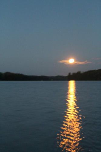 Matti Luostarinen, Cluster art, Moonlight bridge