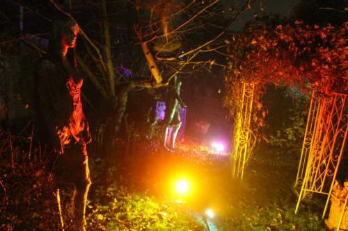 Matti Luostarinen. Cluster art, art of clusters. The Garden of cluster art.