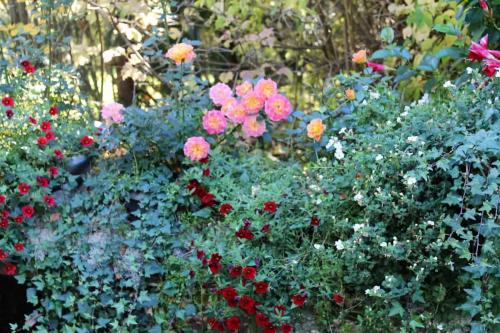 Matti Luostarinen, Cluster art, The garden of cluster art, autumn colors