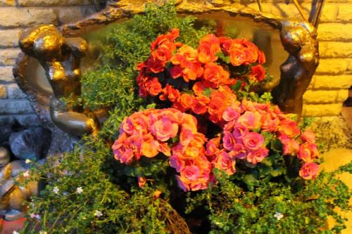 Matti Luostarinen. Cluster art. Cluster art garden 2017
