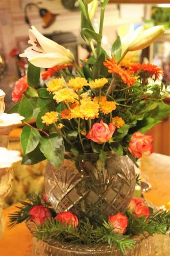 IMG_5588 (2)
