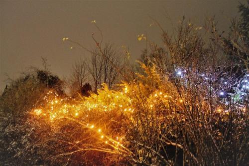 Matti Luostarinen. Cluster art, Art of Clusters.