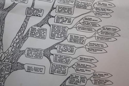 Matti Luostarinen. Cluster art. Art of cluster. Family tree. Genealogy