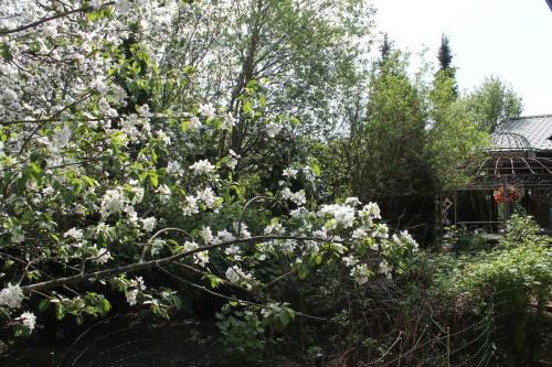 Matti Luostarinen. Cluster art. Art of Clsuters. Cluster Garden