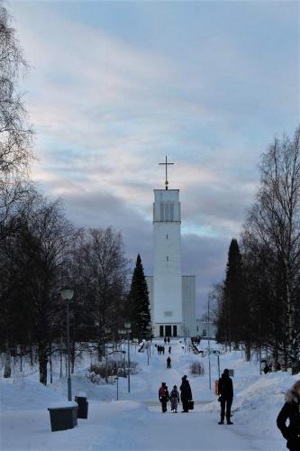 Matti Luostarinen, Cluster art, Iisalmi