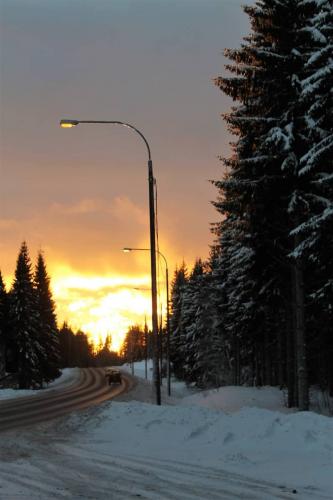 Matti Luostarinen, Clusetr art, Savo region, Suonenjoki