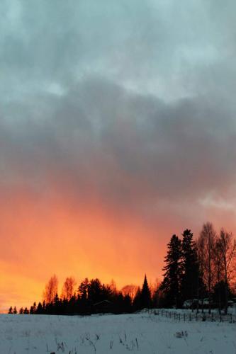 Matti Luostarinen, Cluster art, Savo region