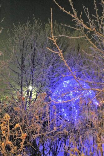 Matti Luostarinen, Cluster art, Christmas in cluster garden 2016