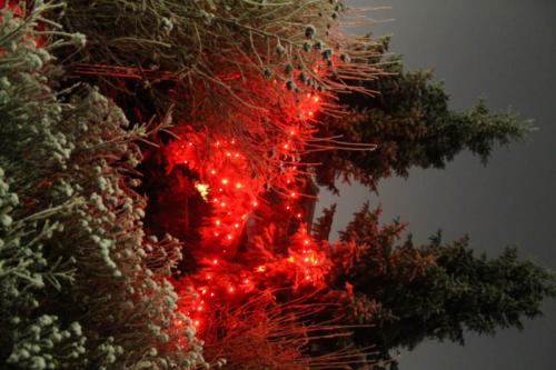 Matti Luostarinen. Cluster art. Art of Cluster. Finland’s big year 2017 – Suomi 100.