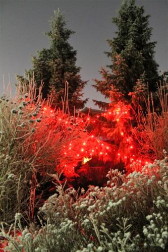 img_6965