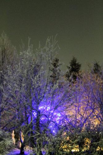 Matti Luostarinen, Cluster art, Christmas in cluster garden 2016