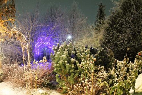Matti Luostarinen, Cluster art, Christmas in cluster garden 2016