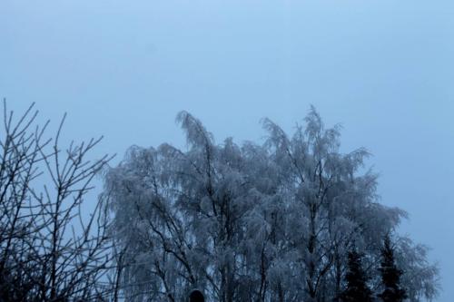 img_7018