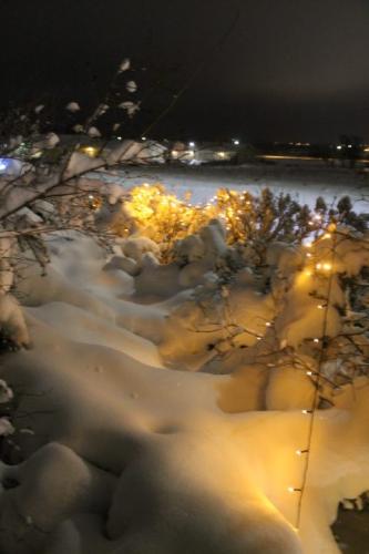 Matti Luostarinen. Cluster art. Cluster art garden in 13.1.2021.