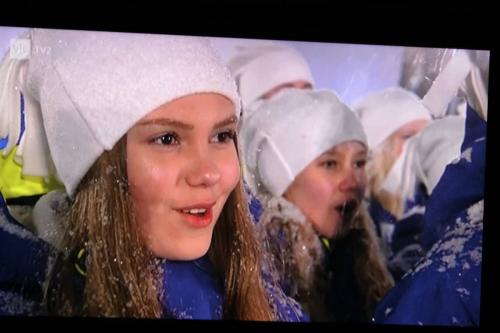 Matti Luostarinen, Cluster art, Nordic World Ski Championships, Lahti 2017