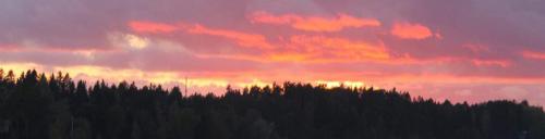 cropped-IMG_4387-1-e1474758569350.jpg