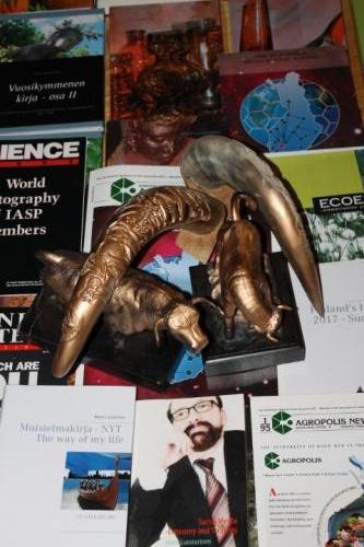 Härän ja omikron vuosi 2021Cluster policy, economy and art,